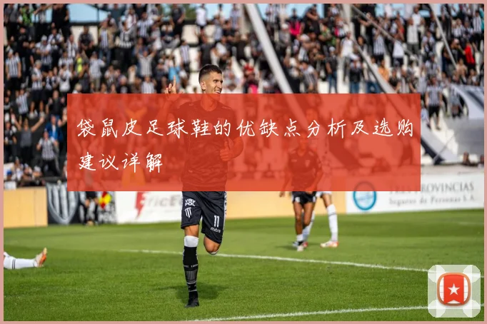 袋鼠皮足球鞋的优缺点分析及选购建议详解