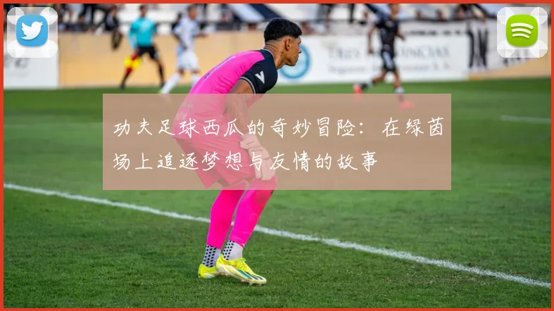 功夫足球西瓜的奇妙冒险：在绿茵场上追逐梦想与友情的故事
