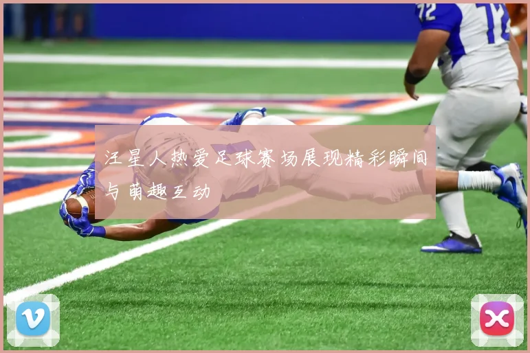 汪星人热爱足球赛场展现精彩瞬间与萌趣互动