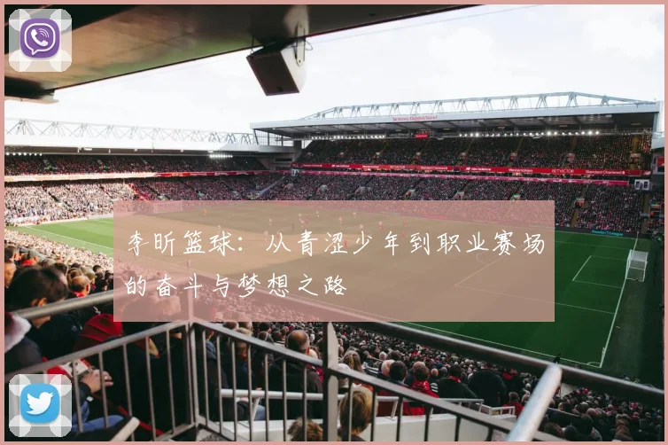 李昕篮球：从青涩少年到职业赛场的奋斗与梦想之路