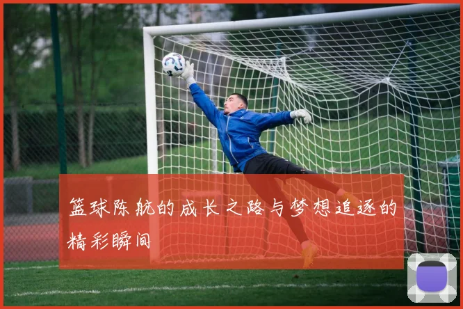 篮球陈航的成长之路与梦想追逐的精彩瞬间