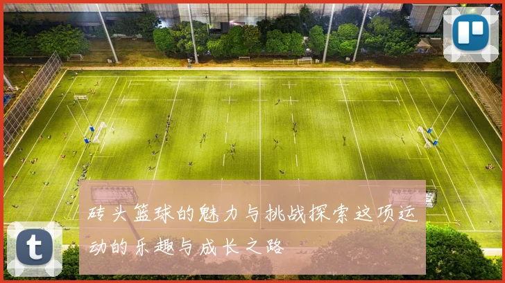 砖头篮球的魅力与挑战探索这项运动的乐趣与成长之路