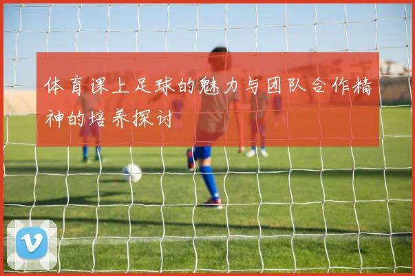 体育课上足球的魅力与团队合作精神的培养探讨